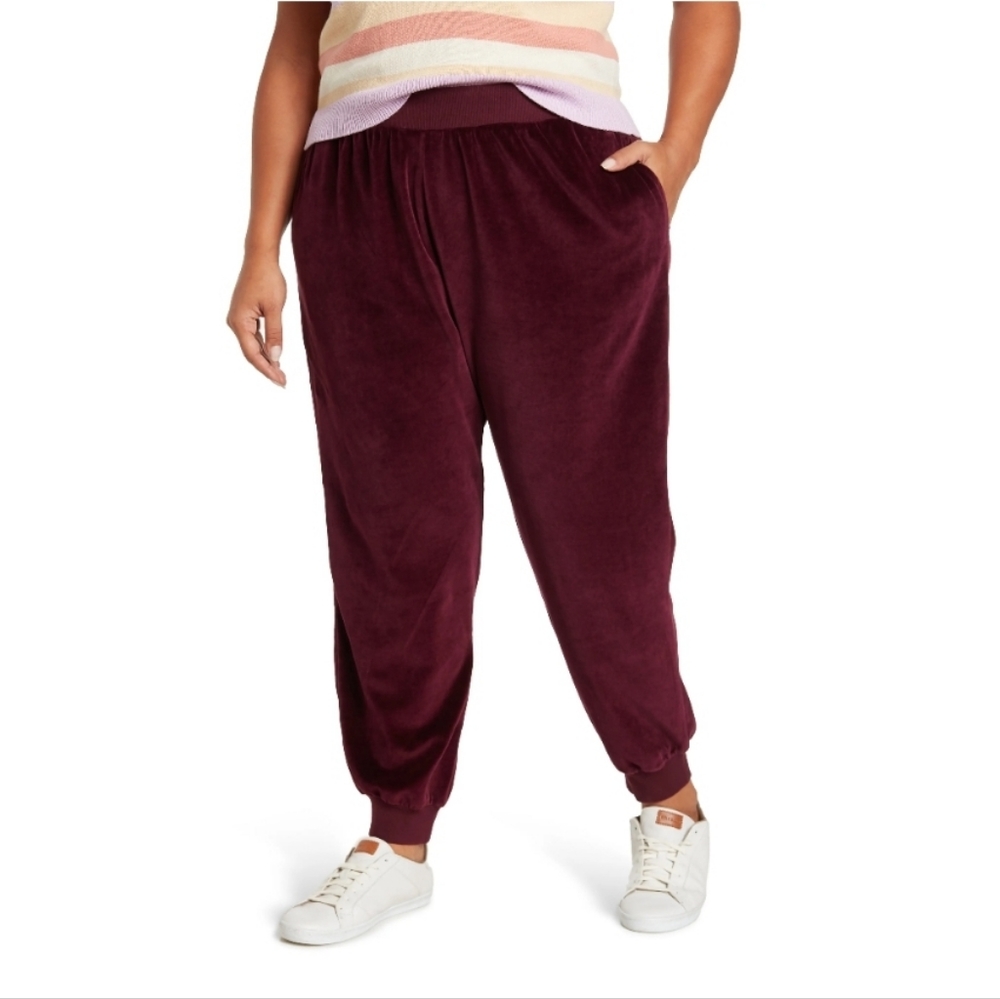 NWT! Abound Nordstrom Velour Joggers In Burgundy Stem M